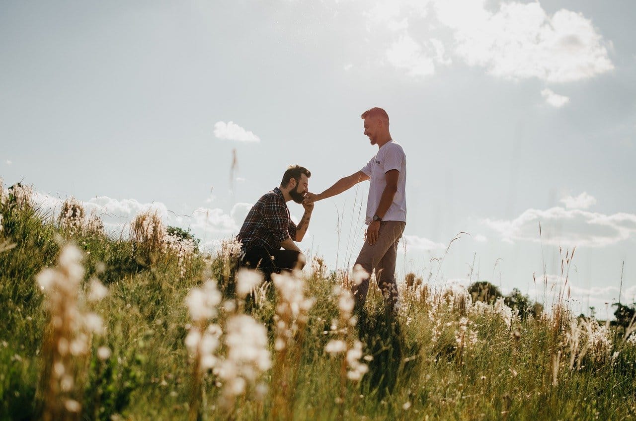 lovers, proposal, lgbtqia+, couple, gay